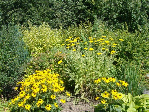 A wkoło pachną kwiaty!